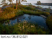 Природа шхер на Ладожском озере в Республике Карелии. Стоковое фото, фотограф V.Ivantsov / Фотобанк Лори