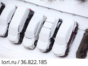 Line from snow covered passenger cars, parking lot, top view. Стоковое фото, фотограф Кекяляйнен Андрей / Фотобанк Лори