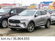 Haval F7x (2021 год). Редакционное фото, фотограф Art Konovalov / Фотобанк Лори