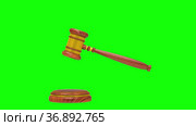 Wooden gavel on green background. Isolated 3d render. Стоковая анимация, аниматор Ильин Сергей / Фотобанк Лори
