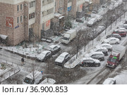 Снегопад в московском дворе. Одинокий человек шагает вдоль дороги с припаркованными машинами (2021 год). Редакционное фото, фотограф Наталья Николаева / Фотобанк Лори