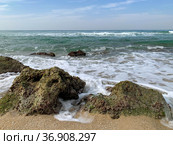 Rocks on the shores of the Mediterranean Sea (2021 год). Стоковое фото, фотограф Irina Opachevsky / Фотобанк Лори
