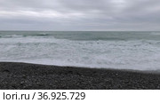 Берег Чёрного моря. Сильный шторм, большие волны. The Black Sea coast. Strong storm, big waves. Стоковое видео, видеограф Евгений Романов / Фотобанк Лори