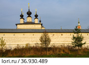 Свято-Троицкий Белопесоцкий монастырь в Ступино, Московская область, Россия (2020 год). Стоковое фото, фотограф Natalia Sidorova / Фотобанк Лори
