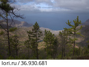 Gran Canaria, landscape of the central montainous part of the island, Las Cumbres, ie The Summits, hiking route to Altavista, aboriginal name Azaenegue, mountain in Artenara municipality (2021 год). Стоковое фото, фотограф Tamara Kulikova / Фотобанк Лори