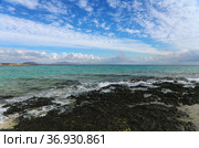 Fuerteventura, Canary Islands, beaches collectively called Grandes Playas on the edge of Nature Park Dunes of Corralejo (2021 год). Стоковое фото, фотограф Tamara Kulikova / Фотобанк Лори