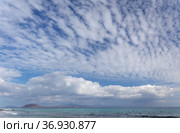 Fuerteventura, Canary Islands, beaches collectively called Grandes Playas on the edge of Nature Park Dunes of Corralejo (2021 год). Стоковое фото, фотограф Tamara Kulikova / Фотобанк Лори