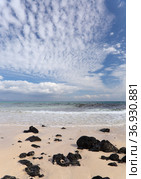 Fuerteventura, Canary Islands, beaches collectively called Grandes Playas on the edge of Nature Park Dunes of Corralejo (2021 год). Стоковое фото, фотограф Tamara Kulikova / Фотобанк Лори