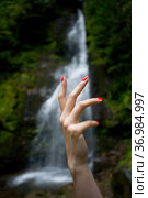 Graceful female hand with red manicure on the nails (2018 год). Редакционное фото, фотограф Александр Клёнов / Фотобанк Лори