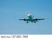 Перед посадкой самолет выпустил шасси. Стоковое фото, фотограф Александр Романов / Фотобанк Лори
