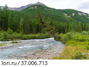Горный Алтай. Река Шавла выше устья реки Ештыкол. Август. Стоковое фото, фотограф Сергей Рыбин / Фотобанк Лори