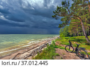 Велосипед на побережье Обского моря во время надвигающегося штормового фронта. Бердск, Новосибирская область, Западная Сибирь России (2020 год). Редакционное фото, фотограф Евгений Мухортов / Фотобанк Лори
