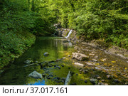 Кавказские горы. Река Дикарка и Змейковские водопады. Вид с воздуха. Caucasus Mountains. Dikarka River and the Zmeykovsky waterfalls. Aerial view. Стоковое фото, фотограф Евгений Романов / Фотобанк Лори