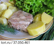 Домашний мясной холодец и отварной картофель. Стоковое фото, фотограф Татьяна Т / Фотобанк Лори