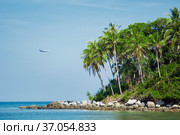 Джунгли подступают к берегу. Андаманское море, Таиланд. Стоковое фото, фотограф Александр Романов / Фотобанк Лори