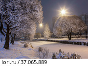 Heavy snowstorm in the night city. Frozen river, snow-covered trees and lanterns. Стоковое фото, фотограф Наталья Волкова / Фотобанк Лори