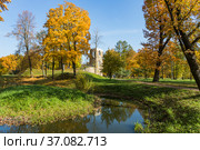 Россия. Стрельна. Орловский парк. Руинная башня (2021 год). Редакционное фото, фотограф Литвяк Игорь / Фотобанк Лори