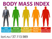 Concept of BMI - body mass index. Стоковое фото, фотограф Elnur / Фотобанк Лори