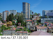 Сочи, городская застройка, вид с Верещагинского (Светлановского) моста (2021 год). Стоковое фото, фотограф glokaya_kuzdra / Фотобанк Лори