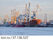 Солнечное зимнее утро в Большом морском порту Санкт-Петербурга. Канонерский остров (2021 год). Редакционное фото, фотограф Виктор Карасев / Фотобанк Лори