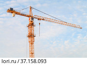 Строительный высотный кран Liebherr на фоне облачного неба солнечным зимним днем (2021 год). Редакционное фото, фотограф Виктор Карасев / Фотобанк Лори