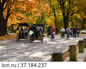 Central Park Tours by Pedicab Rickshaws and Cyclists in picturesque golden autumn. Manhattan, New York City (2021 год). Редакционное фото, фотограф Валерия Попова / Фотобанк Лори