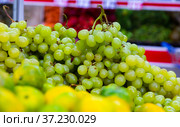 Bunches of kish-mish grapes in the store. Стоковое фото, фотограф Яков Филимонов / Фотобанк Лори