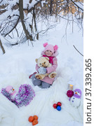 Портрет девочки в новогоднем заснеженном зимнем лесу. Portrait of a girl in a New Year's snowy winter forest. (2022 год). Редакционное фото, фотограф Мария / Фотобанк Лори