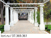 Пергола (колоннада) в Приморском парке в Алуште. Крым. Россия (2021 год). Редакционное фото, фотограф stargal / Фотобанк Лори