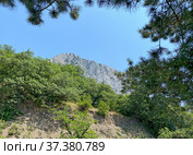 Скала Балчик-Кая, Крым (2021 год). Редакционное фото, фотограф Мария Кылосова / Фотобанк Лори