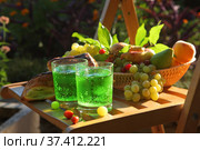 Натюрморт с тархуном, хачапури и фруктами. Стоковое фото, фотограф Марина Володько / Фотобанк Лори