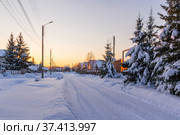 Country road past the fir trees in the village. Стоковое фото, фотограф Дмитрий Тищенко / Фотобанк Лори