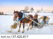 Рыжая лошадь и сани и храм Кремля, Суздаль (2022 год). Редакционное фото, фотограф Baturina Yuliya / Фотобанк Лори