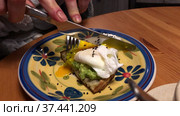 Crop woman cutting egg Benedict. Стоковое видео, видеограф Антон Гвоздиков / Фотобанк Лори