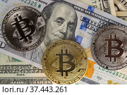 Bitcoin coins lie on dollars. Стоковое фото, фотограф Kozub Vasyl / Фотобанк Лори