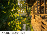 Wooden house with stairs and vine leaves. Стоковое фото, фотограф Дмитрий Тищенко / Фотобанк Лори