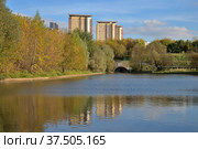 Ochakovka river in Troparevsky park in autumn, Moscow, Russia (2021 год). Стоковое фото, фотограф Алексей Антипов / Фотобанк Лори