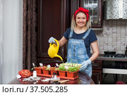 Woman plants seedlings in pots at kitchen table. Стоковое фото, фотограф Дарья Трофимова / Фотобанк Лори