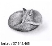 Рисунок спящей лисицы. Стоковая иллюстрация, иллюстратор Марина Чистякова / Фотобанк Лори