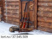Охотничьи ружья на фоне русской избы. Стоковое фото, фотограф Марина Чистякова / Фотобанк Лори