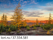 Autumn landscape with larch trees and mountains at dawn. Sky with clouds and full moon. Ridge Keperveney, Chukotka, Russia. Стоковое фото, фотограф Андрей Степанов / Фотобанк Лори