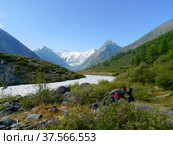 Горный Алтай. Река Аккем. Стоковое фото, фотограф Галина Савина / Фотобанк Лори