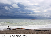 Beach in the Pitsunda bay (2021 год). Редакционное фото, фотограф Александр Карпенко / Фотобанк Лори