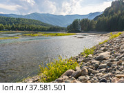Bank of the Chemal River in Altai. Стоковое фото, фотограф Дмитрий Тищенко / Фотобанк Лори