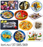 Collage of dishes with different seafood - sprat, hamsa, anchovy, sardines and others. Стоковое фото, фотограф Яков Филимонов / Фотобанк Лори