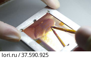 Making a blank for laser lithography. Стоковое видео, видеограф Поскребышев Михаил / Фотобанк Лори
