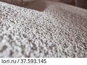 White granules (pellets) of phosphoric (phosphate) fertilizers on chemical fplant warehouse. Close-up.. Стоковое фото, фотограф Alexey Rezvykh / Фотобанк Лори