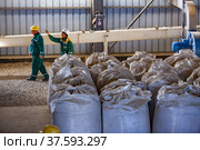 Aktobe region, Kazakhstan - May 04 2019: Phosphate fertilizers plant. Plastic bags with fertilizer pellets and two workers. (2012 год). Редакционное фото, фотограф Alexey Rezvykh / Фотобанк Лори