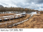Муринский ручей. Муринский Парк. Санкт-Петербург (2022 год). Стоковое фото, фотограф Сергей Афанасьев / Фотобанк Лори
