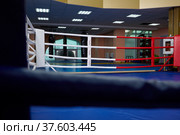 Boxing ring of fighting club Excalibur. (2022 год). Редакционное фото, фотограф Сергей Пристяжнюк (Serg Zastavkin) / Фотобанк Лори